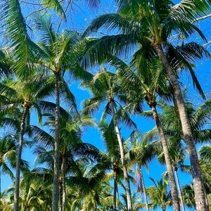 Meet your Posher, Valentina